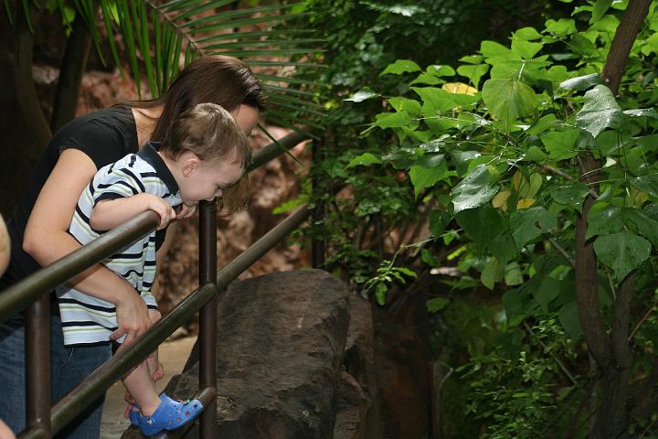 Grant's 2 year birthday083.JPG